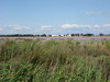 Tussen Aigues Mortes en Le Grau du Roi - Zoutpannen.